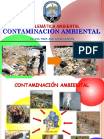 Clase N° 9,  Problematica ambiental (1)