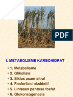 Metabolisme Karbohidrat