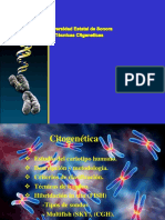 Tecnicas Citogeneticas
