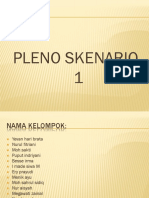 PLENO 1