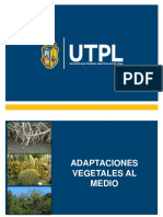 Unidad 6 Adaptaciones Vegetales 1