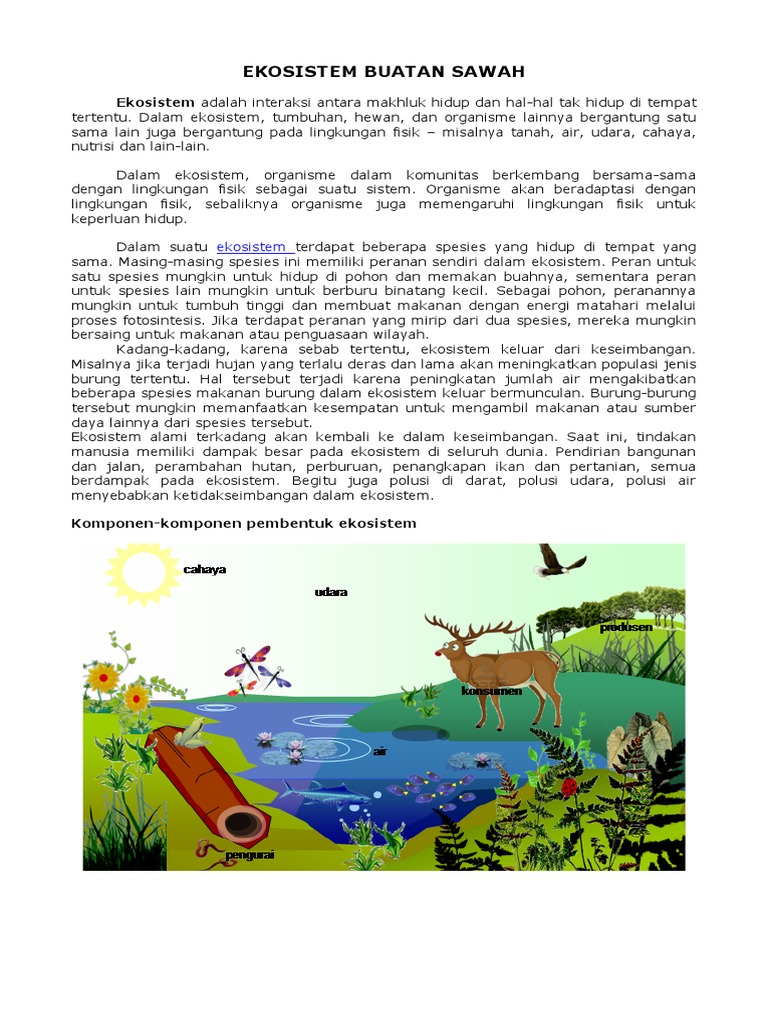 Ekosistem Buatan Sawah PDF