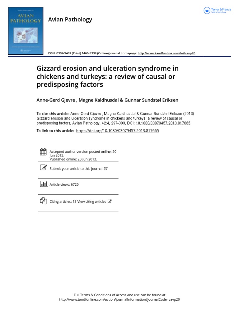 Gizzard Erosion and Ulceration Syndrome in Chickens and Turkeys A