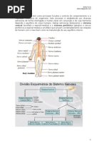 Sistema Nervoso