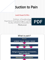 Introduction To Pain: Makassar