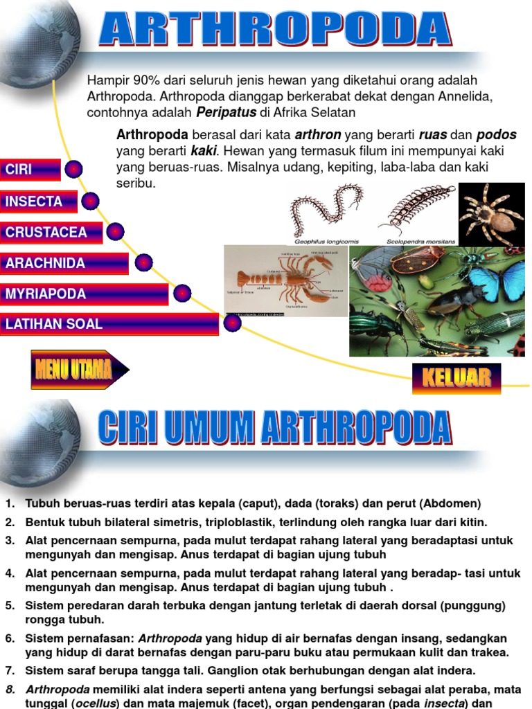 Arthropoda