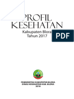 PROFIL KESEHATAN KAB BLORA 2017 FULL.pdf
