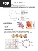BÁSICO - Eletrocardiograma