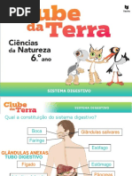 02_SIST_DIGESTIVO=TEXTO