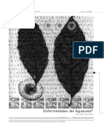 enfermedades fungicas del agaucate.pdf