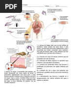 Protoctistas 2 - Doença de Chagas