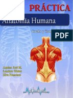 Guia de cuello y tronco pdf.pdf