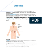 Sistema Endócrino - Parte 01