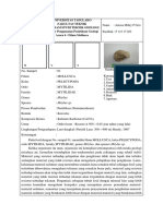 Acara 6 Praktikum Paleontologi