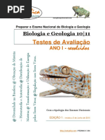 Testes de Avaliação - Netxplica.pdf