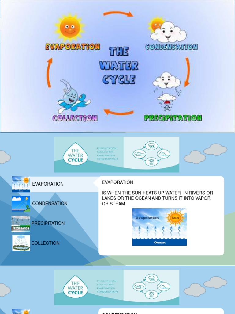 The Water Cycle | PDF | Science & Mathematics