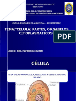 Clases de Celula.pptx