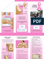 triptico-cancer- de-mama.pdf