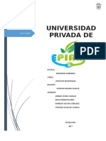 INDUSTRIA-DE-CARNES-COMPLETO.docx