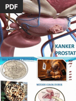 Download KANKER PROSTAT by Bayyinah Ardian SN39510676 doc pdf