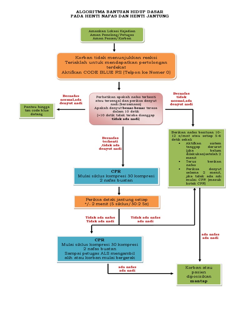 Algoritma BHD Henti Nafas dan Jantung | PDF