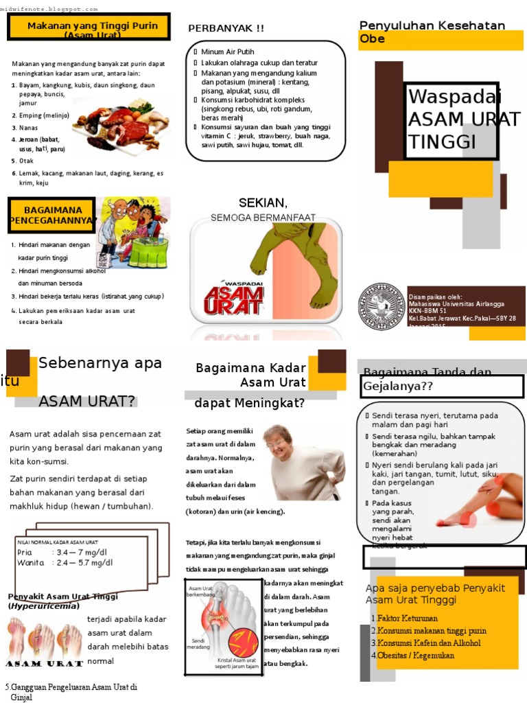 Penyakit Asam Urat Gout Tandatanda Penyebab  Pengobatan