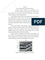Tugas - 08 - F1D116038 2 PDF