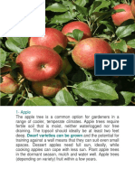 1-Apple: Dwarf Varieties Can Be Grown