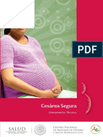 Cesarea_Segura_2014.pdf