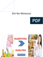 Gizi Ibu Menyusui