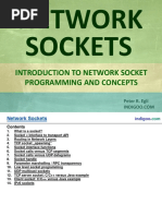 Sockets 101218053457 Phpapp02 PDF