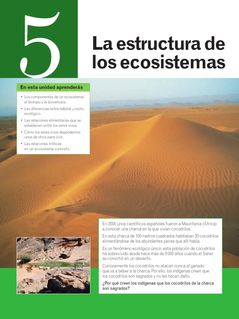 Componentes y tipos de ecosistemas | PDF | Ecosistema | Ecología