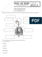 Ficha18 4 PDF