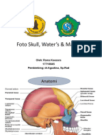 Referat Radiologi