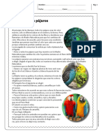 EL COLOR DE LOS PÁJAROS 5° Y 6°.pdf