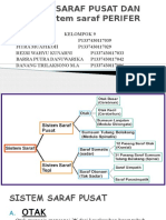 SISTEM SARAF PUSAT DAN PERIFER