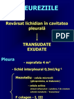 CURS_PLEURA[1].ppt