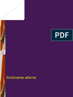 sindroame