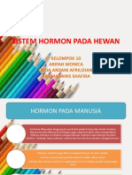 Sistem Hormon Pada Hewan