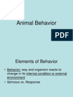 animal behavior 2018
