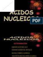 Acido Nucleico (Aly) Actual