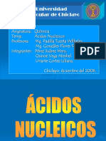 Acidos Nucleicos.ppt