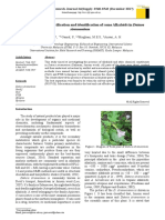 Characterization, Purification and Identification of Some Alkaloids in Datura