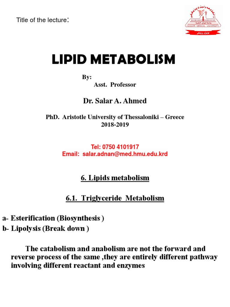 Understanding Lipid Metabolism Basics | PDF | Atherosclerosis | Cholesterol