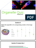 Google Forms: Organelle Quiz Data