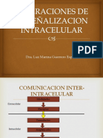 Alteraciones de La Señal - Intrac.