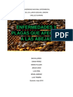 Trabajo de Enfermedades Que Afectan A Las Abejas