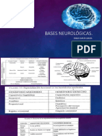 bases neurológicas.pptx