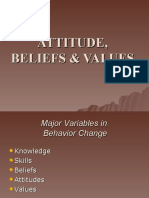 Attitudes, Values & Beliefs - 7