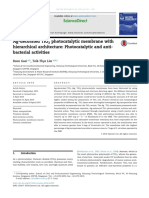 No Ag Decorated Tio2 Antibacterial Activities